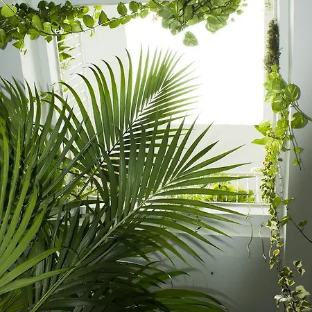 게스트하우스 El Arco 콘일데라프론테라